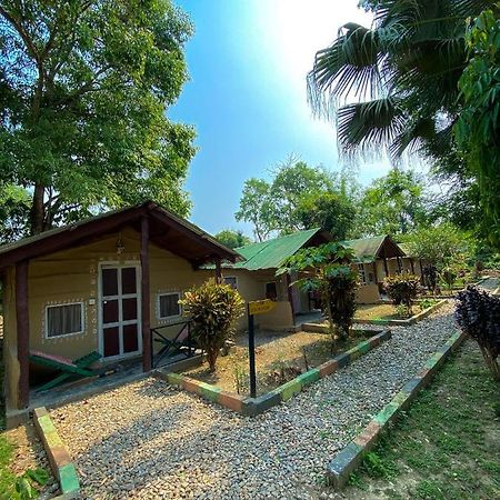 Nature Safari Camp 奇旺 外观 照片