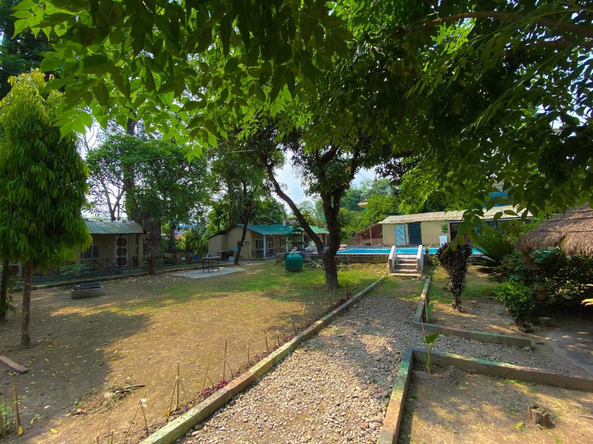 Nature Safari Camp 奇旺 外观 照片