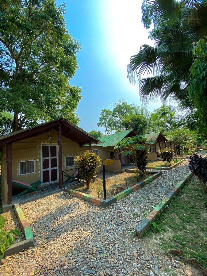 Nature Safari Camp 奇旺 外观 照片