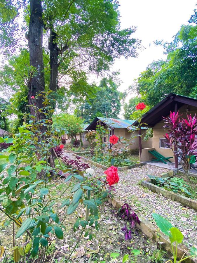 Nature Safari Camp 奇旺 外观 照片
