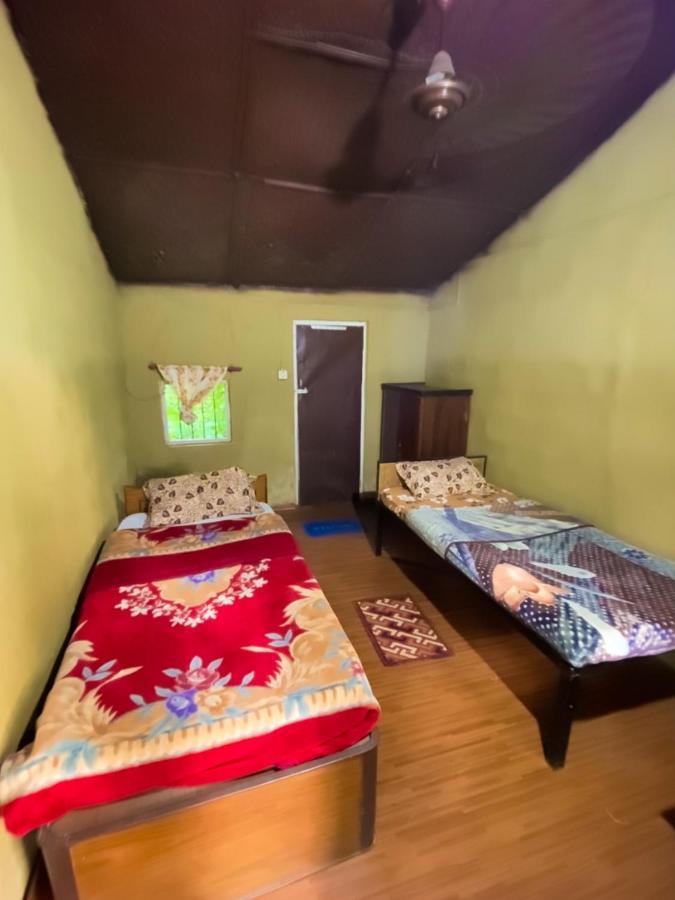 Nature Safari Camp 奇旺 外观 照片